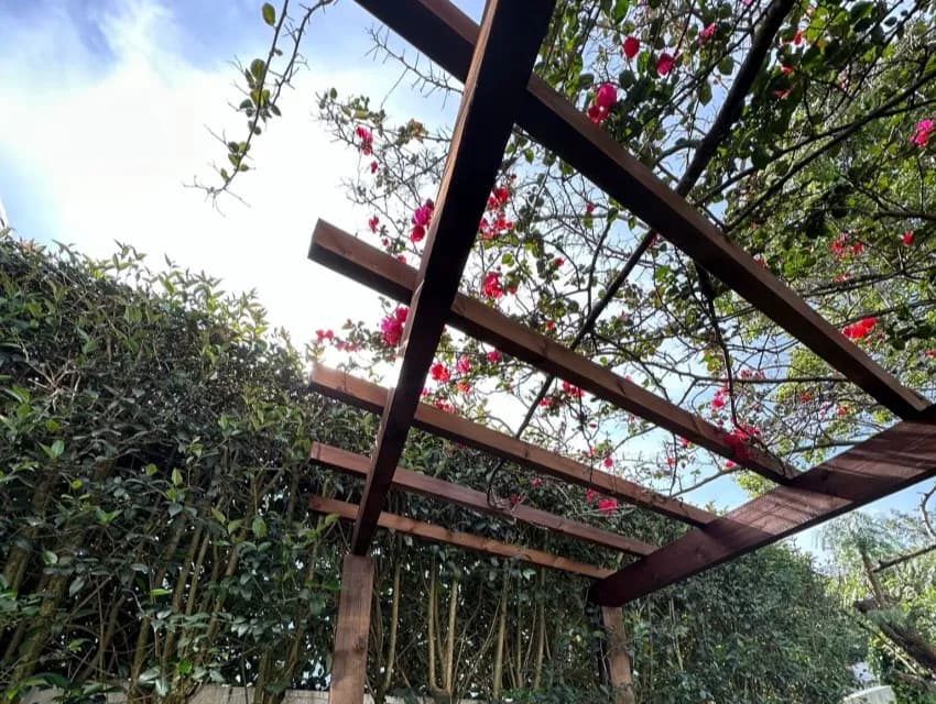 Portfólio Arawood Garden | Decks, vedações, pérgolas e outros trabalhos em madeira